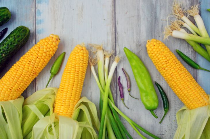 Pilt, millel on kujutatud köögivili, mais, taim, värske  Kirjeldus on genereeritud automaatselt
